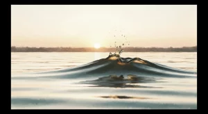 Activation et régulation du système nerveux